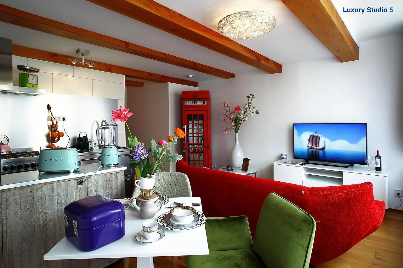 Luxury Apartments Delft V History Written